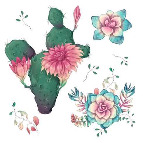 Succulents. Cacti hand drawn on a white background. Flowers in the desert. Vector drawing succulents