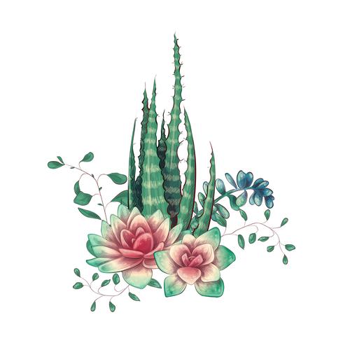 Tarjeta con cactus y conjunto de suculentas. Plantas del desierto. vector