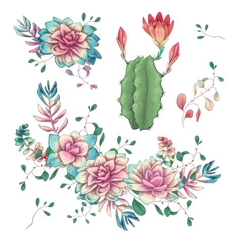 Suculentas. Mano de los cactus dibujada en un fondo blanco. Flores en el desierto. Dibujo vectorial de suculentas. vector