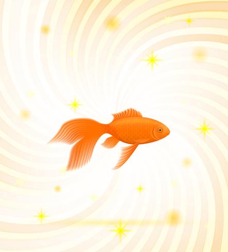 gold fish vector illustration