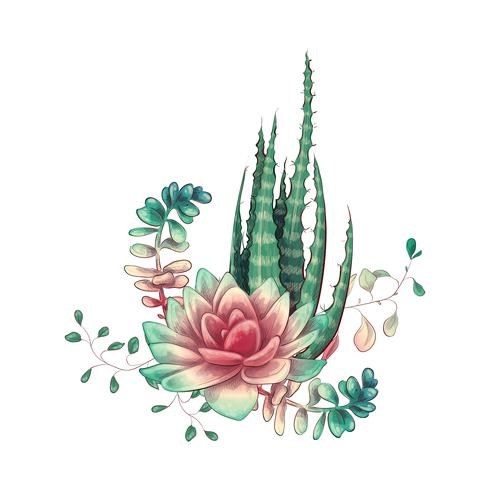 Tarjeta con cactus y conjunto de suculentas. Plantas del desierto. vector