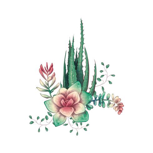 Tarjeta con cactus y conjunto de suculentas. Plantas del desierto. vector