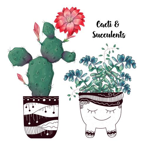 Tarjeta con cactus y conjunto de suculentas. Plantas del desierto. vector