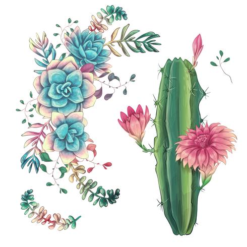 Suculentas. Mano de los cactus dibujada en un fondo blanco. Flores en el desierto. Dibujo vectorial de suculentas. vector