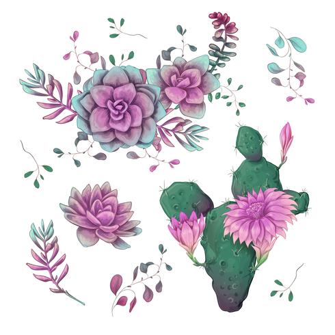 Suculentas. Mano de los cactus dibujada en un fondo blanco. Flores en el desierto. Dibujo vectorial de suculentas. vector