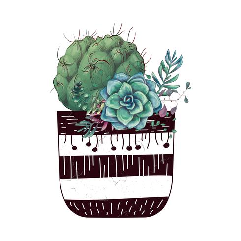 Tarjeta con cactus y conjunto de suculentas. Plantas del desierto. vector