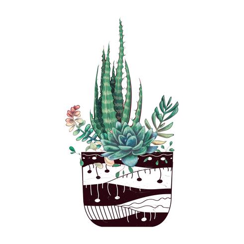 Tarjeta con cactus y conjunto de suculentas. Plantas del desierto. vector