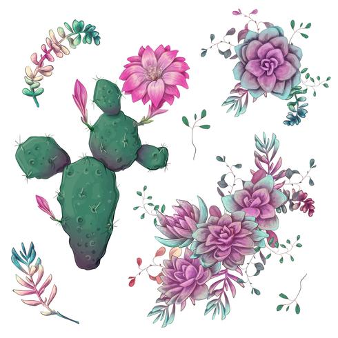 Suculentas. Mano de los cactus dibujada en un fondo blanco. Flores en el desierto. Dibujo vectorial de suculentas. vector