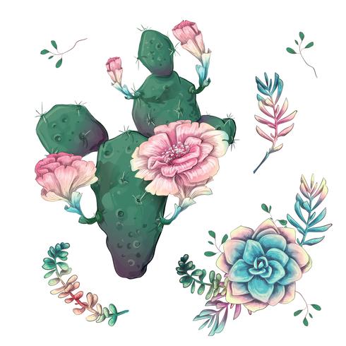 Succulents. Cacti hand drawn on a white background. Flowers in the desert. Vector drawing succulents