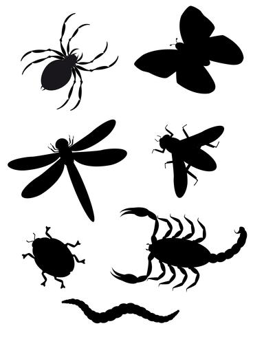 beetles and insects silhouette vector