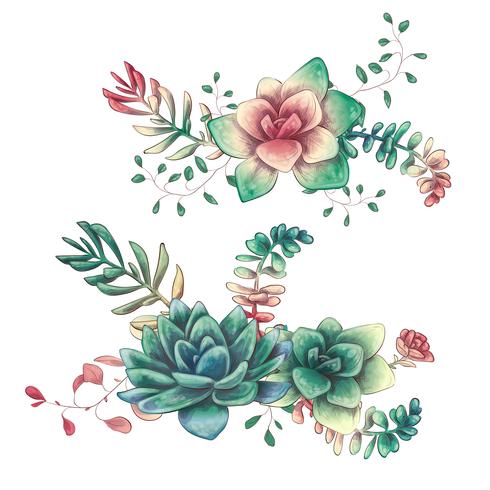 Card with cactuses and succulents set. Plants of desert. vector
