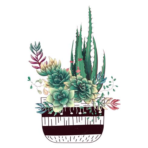 Tarjeta con cactus y conjunto de suculentas. Plantas del desierto. vector