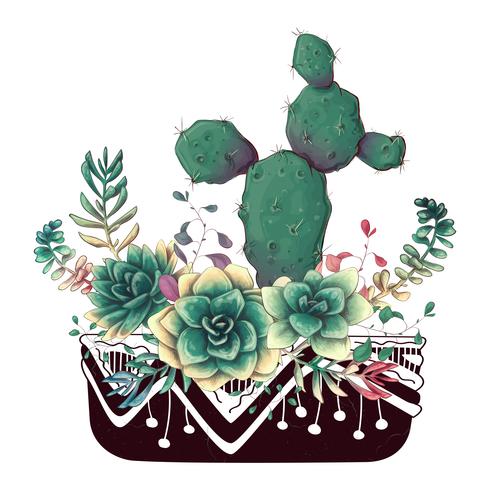 Tarjeta con cactus y conjunto de suculentas. Plantas del desierto. vector