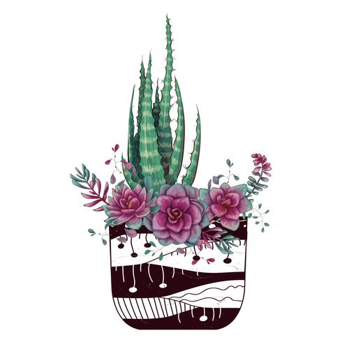 Card with cactuses and succulents set. Plants of desert. vector