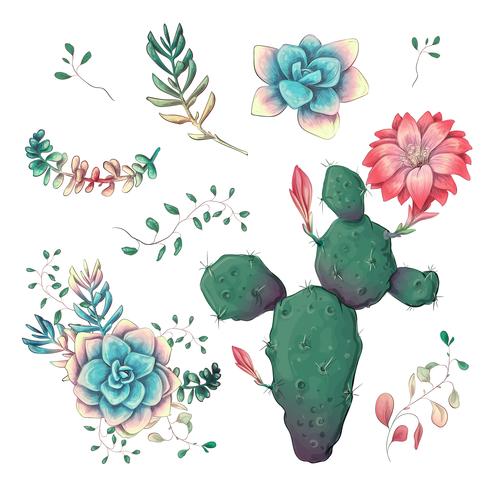 Suculentas. Mano de los cactus dibujada en un fondo blanco. Flores en el desierto. Dibujo vectorial de suculentas. vector