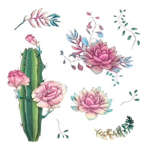 Suculentas. Mano de los cactus dibujada en un fondo blanco. Flores en el desierto. Dibujo vectorial de suculentas. vector