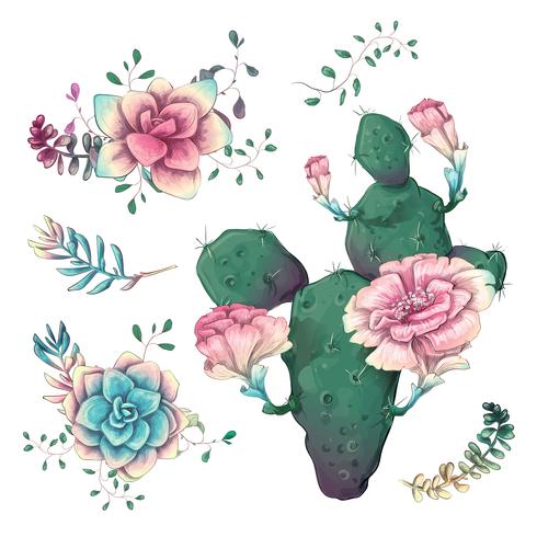 Suculentas. Mano de los cactus dibujada en un fondo blanco. Flores en el desierto. Dibujo vectorial de suculentas. vector