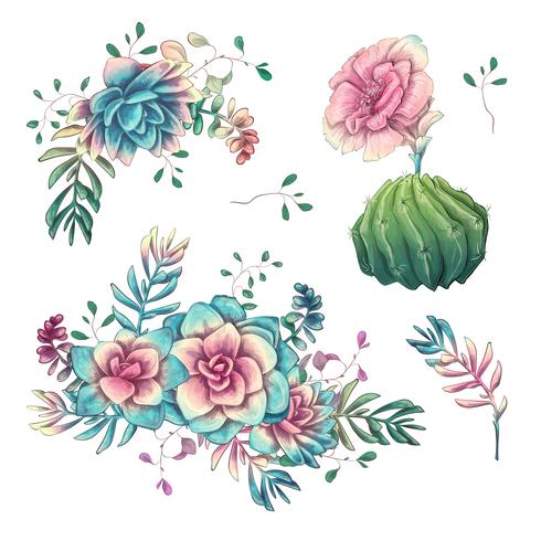 Succulents. Cacti hand drawn on a white background. Flowers in the desert. Vector drawing succulents