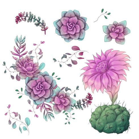 Suculentas. Mano de los cactus dibujada en un fondo blanco. Flores en el desierto. Dibujo vectorial de suculentas. vector