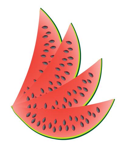 watermelon vector