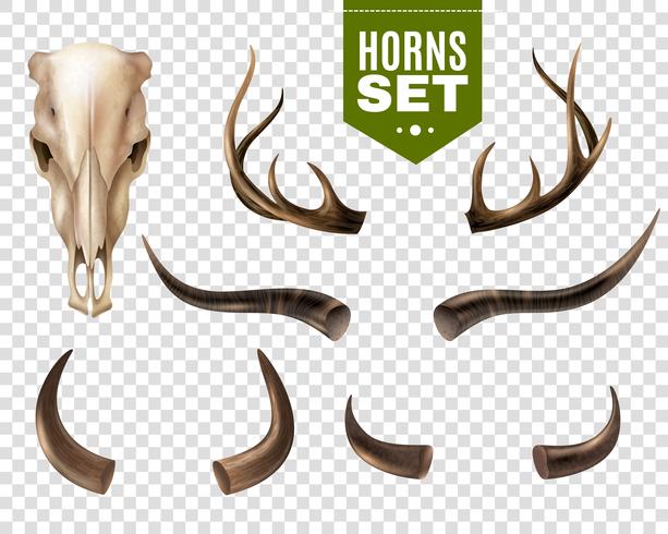 Cow Skull And Horns Set vector