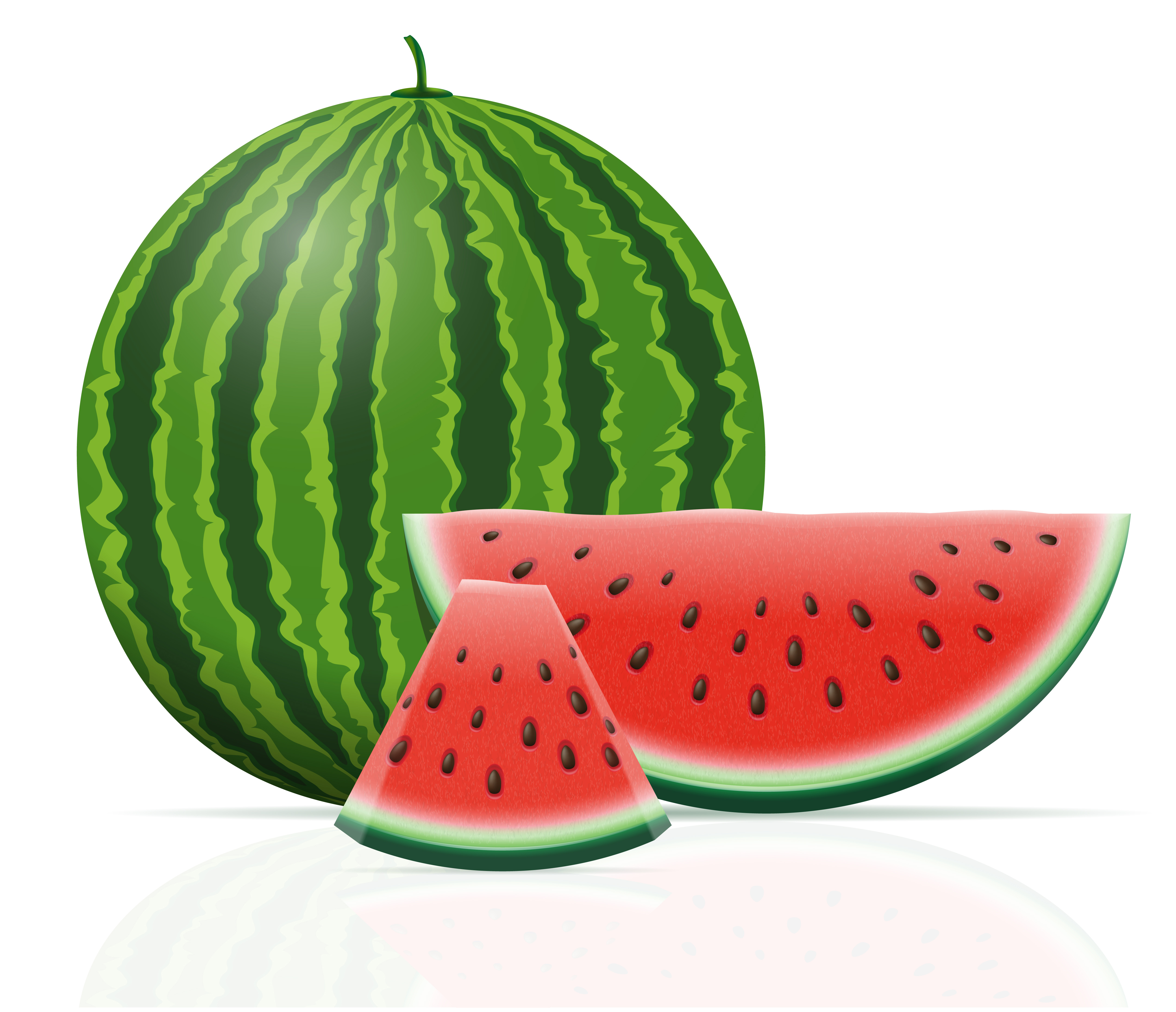 watermelon ripe juicy vector illustration 492320 Vector Art at Vecteezy