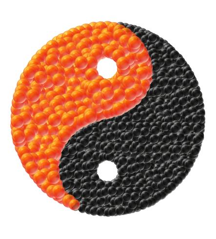 yin and yang made of caviar vector illustration