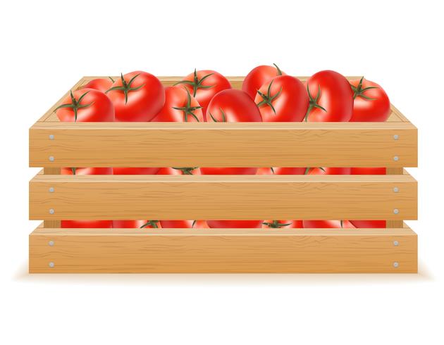 Caja de madera de ilustración vectorial de tomate vector