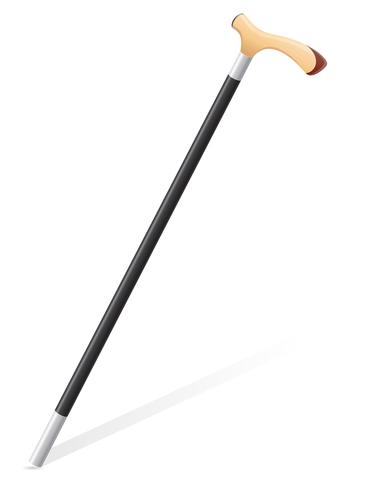 walking stick vector illustration