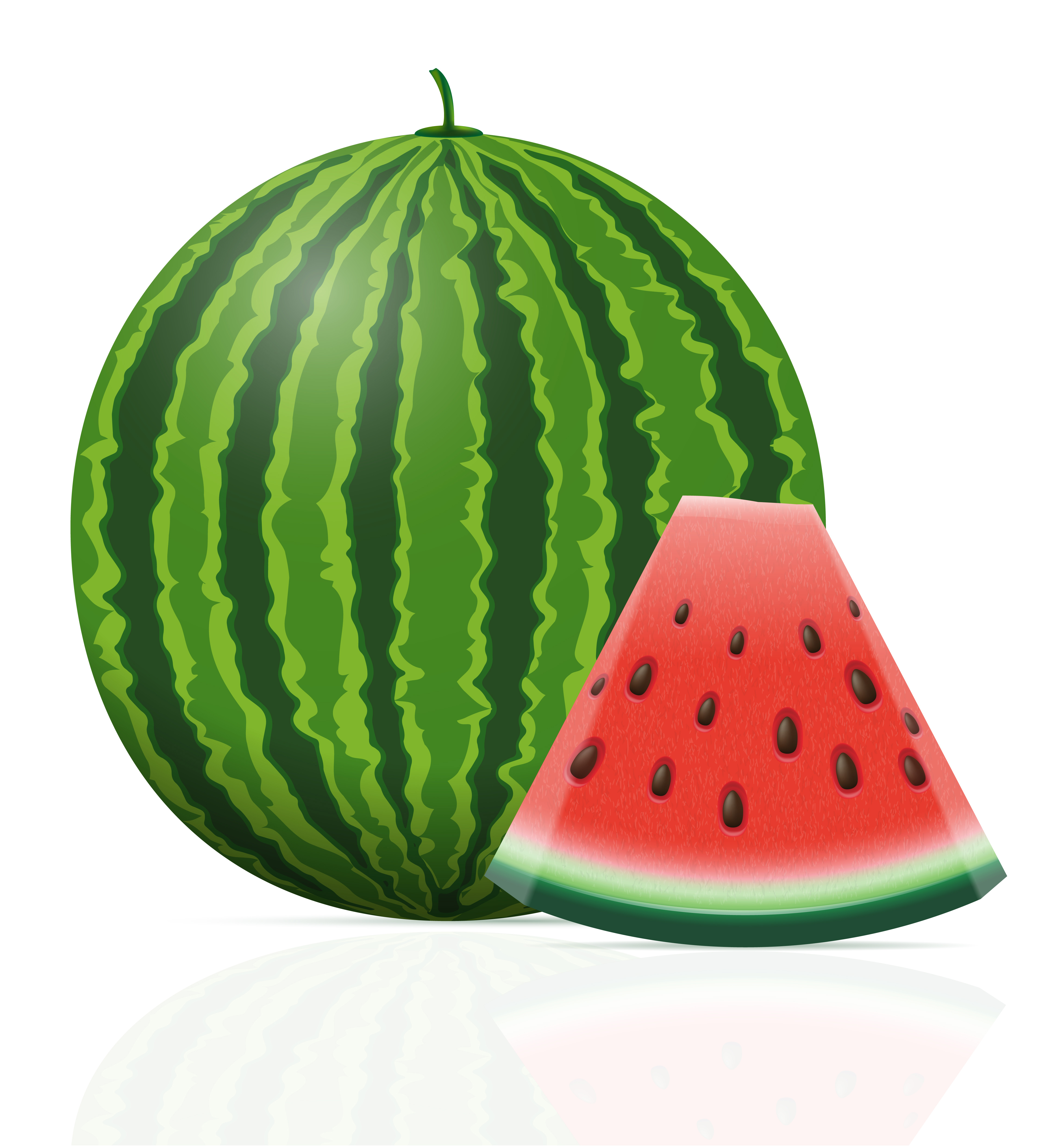 Download watermelon ripe juicy vector illustration 492693 - Download Free Vectors, Clipart Graphics ...