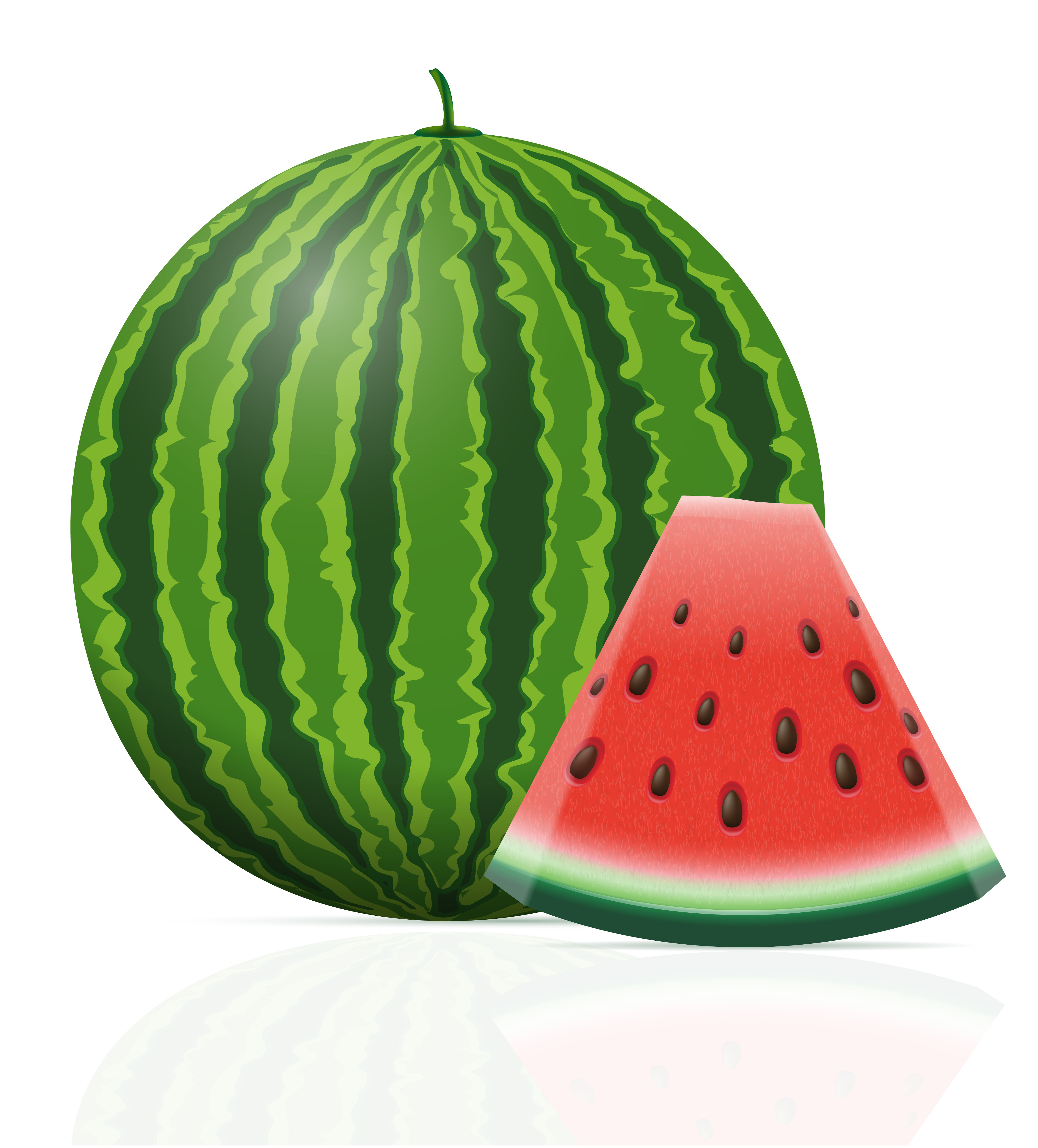Download watermelon ripe juicy vector illustration 492693 ...