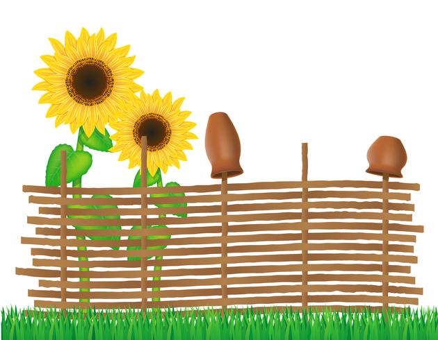wicker fence of twigs with sunflowers vector illustration