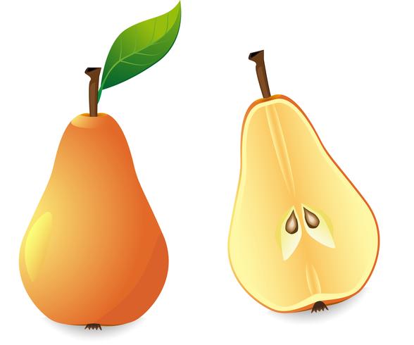 yellow pear and slice vector