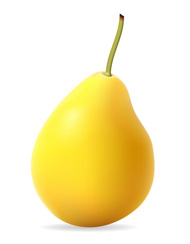 pear vector illustration