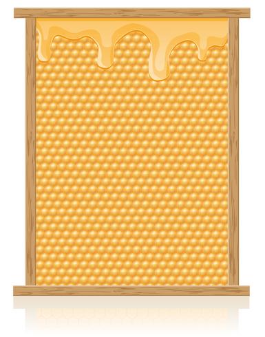 honey comb in the frame vector illustration