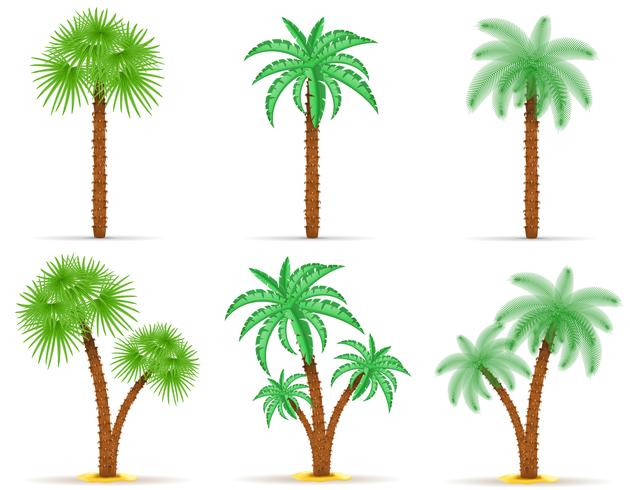 Ilustración de vector de palmera