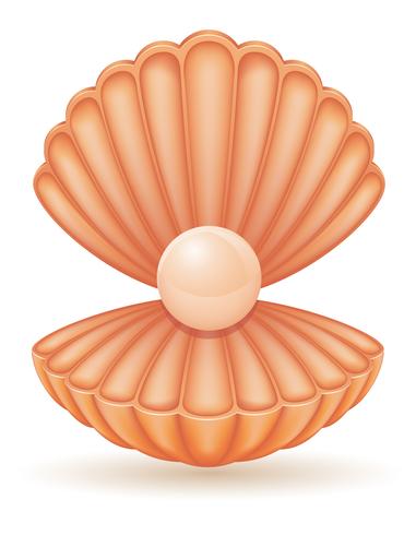 cáscara con ilustración vectorial perla vector