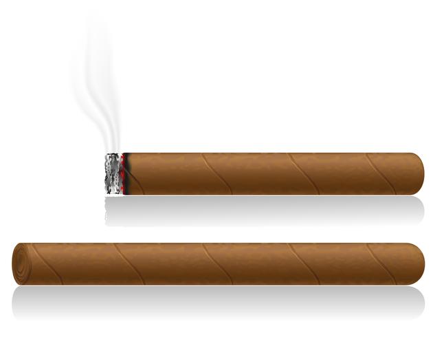 Ilustración de vector de cigarros