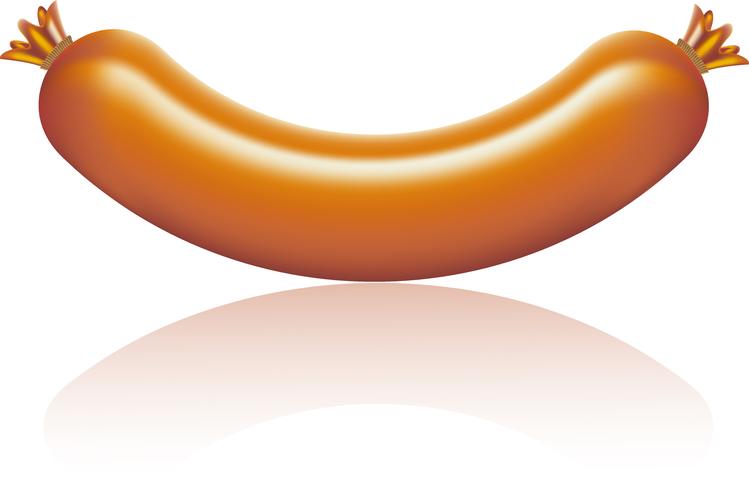 sausage vector