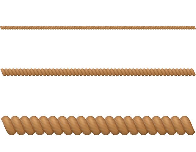 rope vector illustration