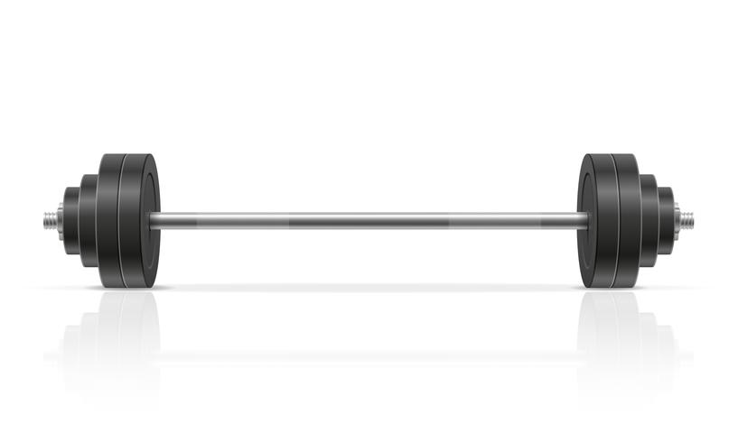 metal barbell for muscle building in gym vector illustration