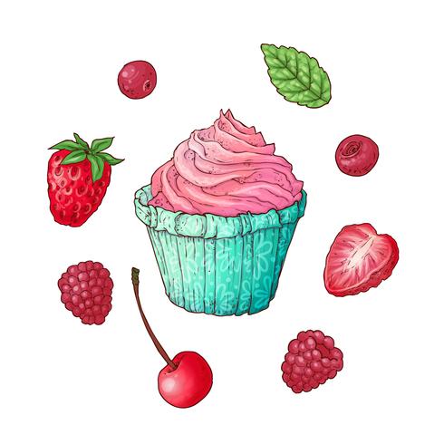 Set cupcake frambuesa fresa cereza, dibujo a mano. Ilustración vectorial vector