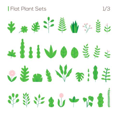 vector set of different leaves and plants in a flat style. plants isolated on white background set.