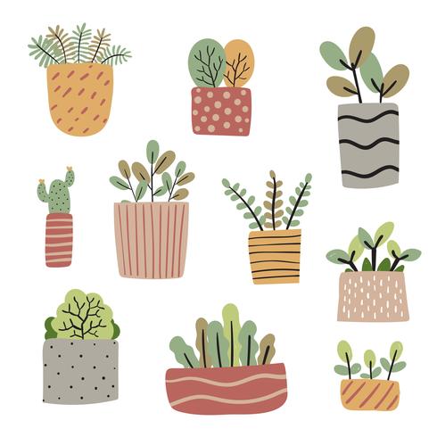 Plantas en macetas vector colección diseño