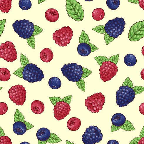 Seamless pattern of wild berries. Vector illustration