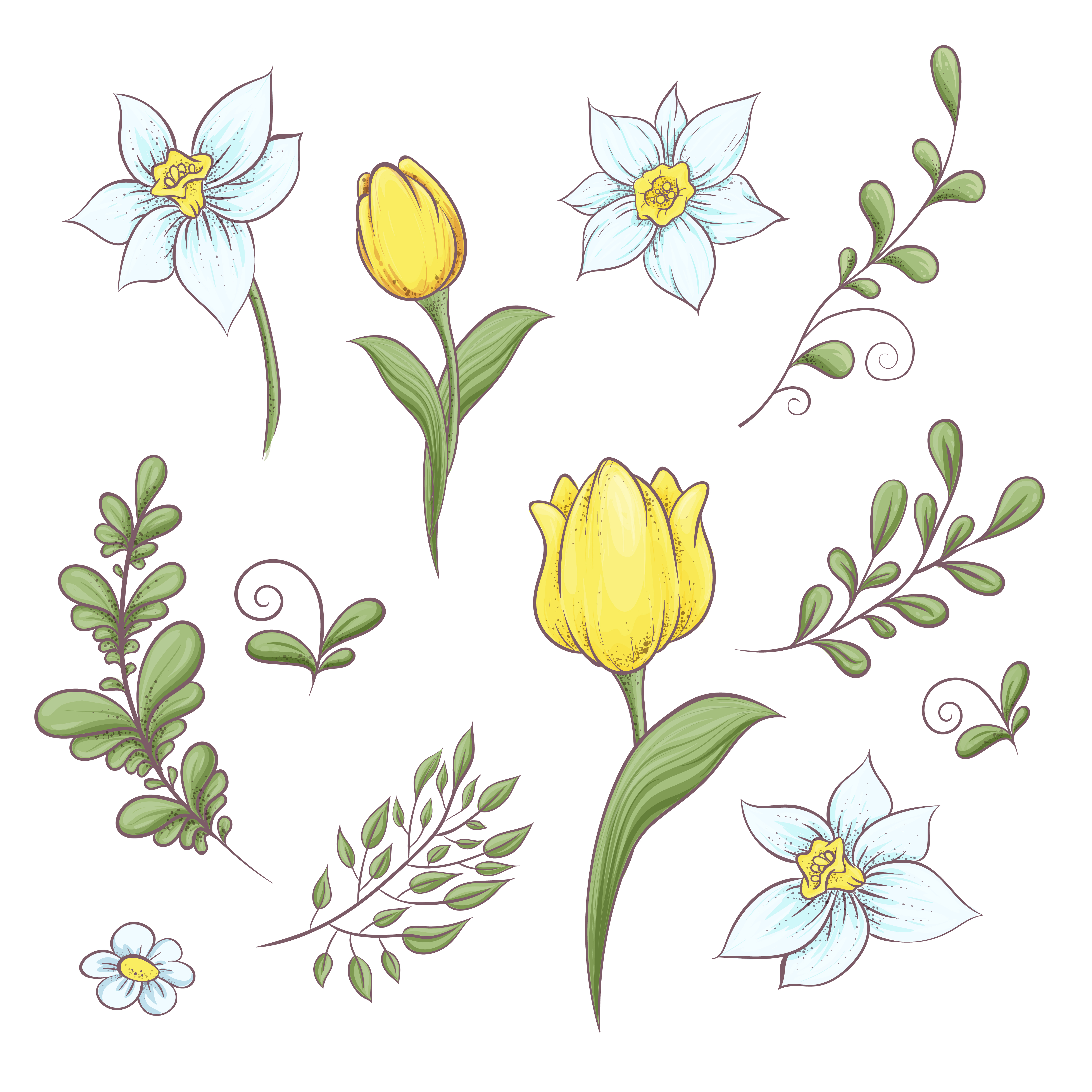 Download Set flowers tulips. Hand drawing Vector illustration ...