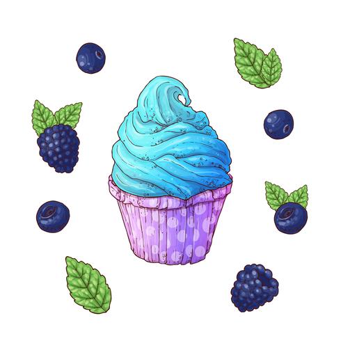 Set of blueberry cupcake vector illustrations