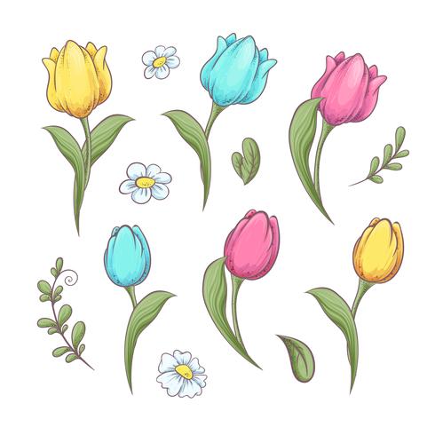 Conjunto flores tulipanes. Dibujo a mano ilustración vectorial vector