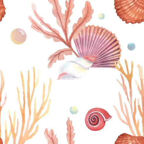 Mar shell patrón de vida marina transparente, viajes de vacaciones de verano en la playa, acuarela aquarelle aislado, ilustración vectorial Color Coral. vector