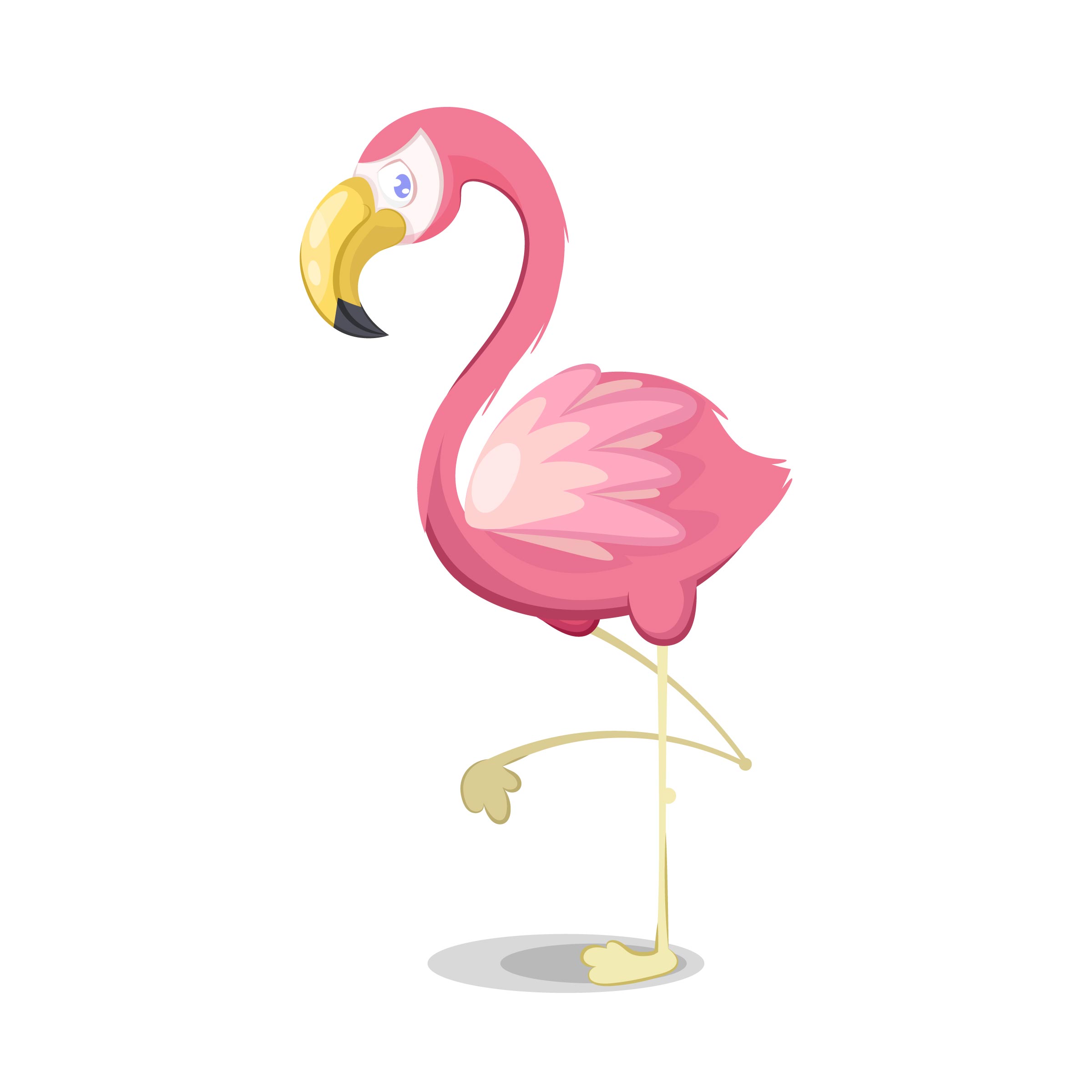 Illustration of pink flamingo Download Free Vectors